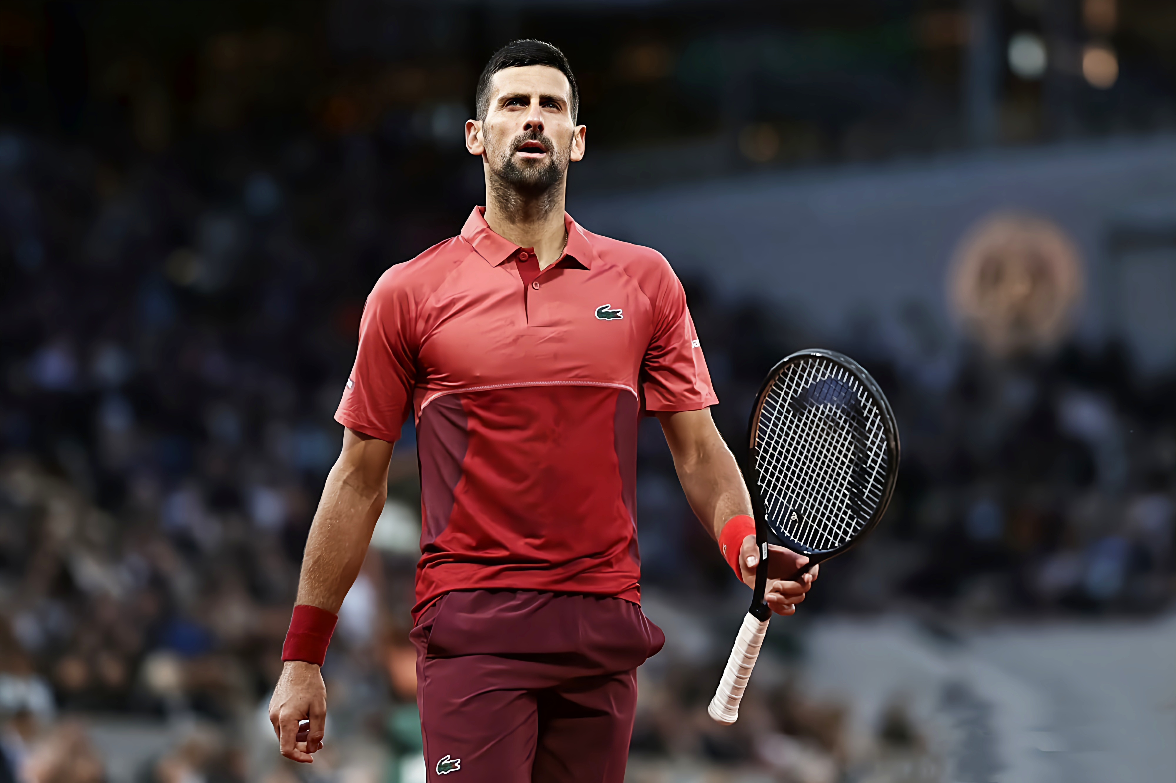 西班牙网球队横扫世界网球队,德约科维奇高光表现的简单介绍 西班牙网球队横扫世界网球队,德约科维奇高光表现的简单介绍