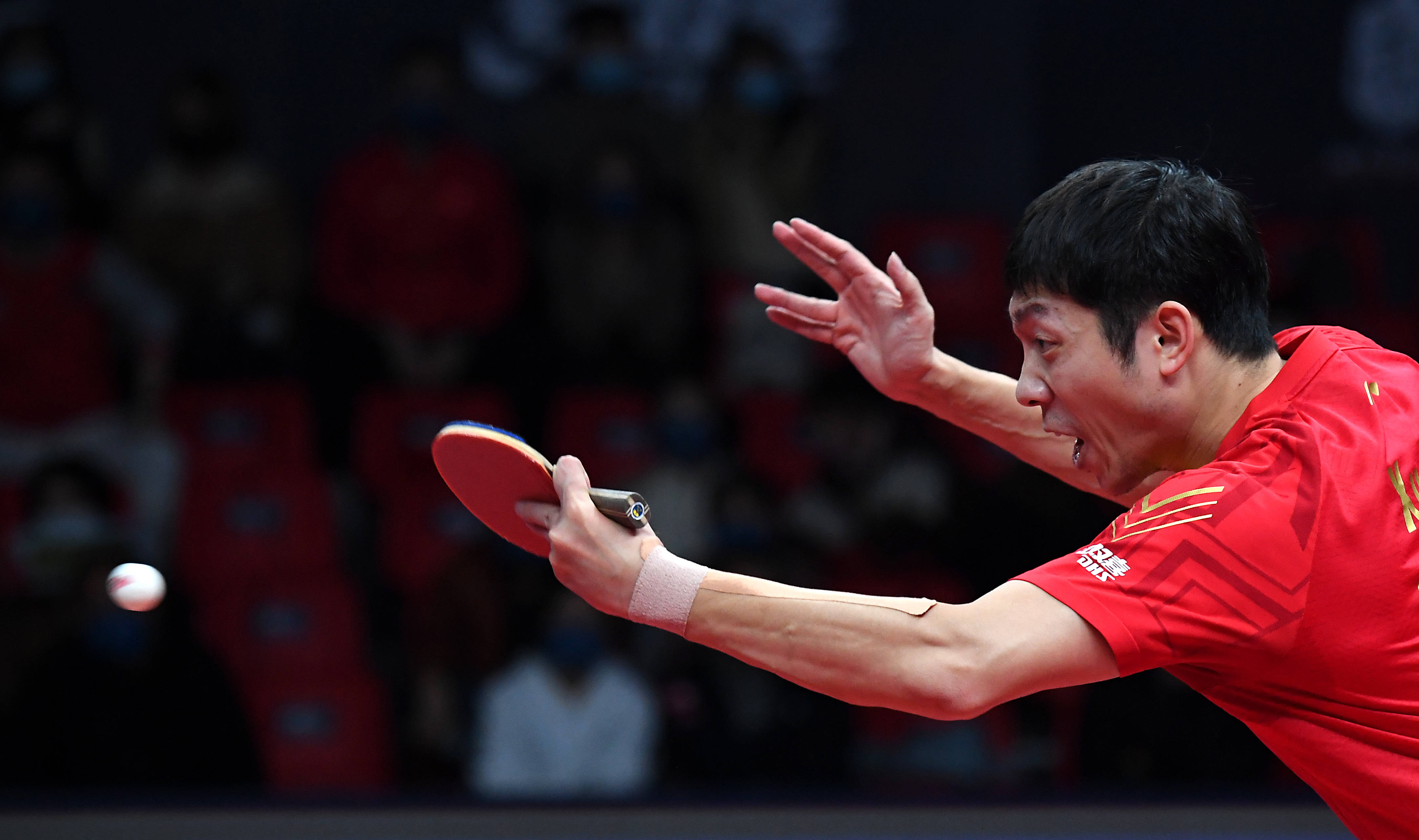 波兰乒乓球队强势中国乒乓球队，许昕惊艳世界的简单介绍