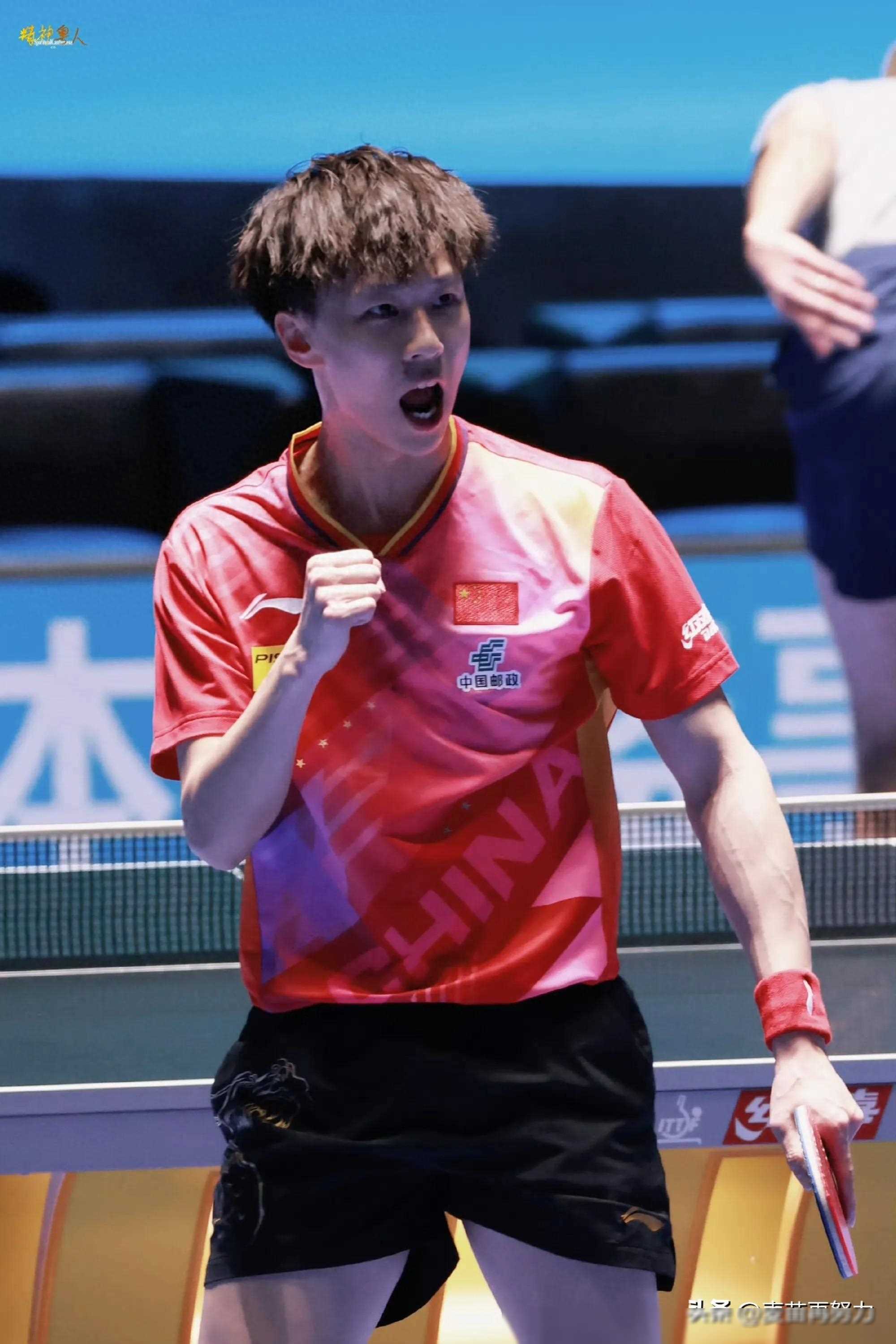 奥地利队力克中国队，林高远高光表现的简单介绍